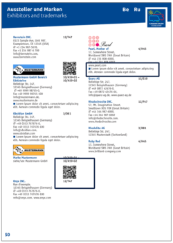 Grafik: Werbeoptionen im Guide